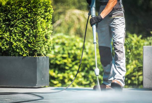 Best Driveway Cleaning and Restoration in Mount Carroll, IL