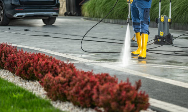 Best Pool Deck Cleaning in Mount Carroll, IL